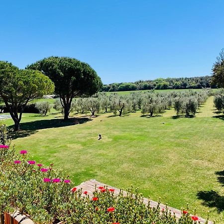 Ferienwohnung Il Borghetto Di Ansedónia Exterior foto