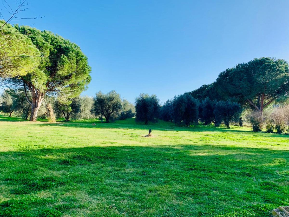 Ferienwohnung Il Borghetto Di Ansedónia Exterior foto