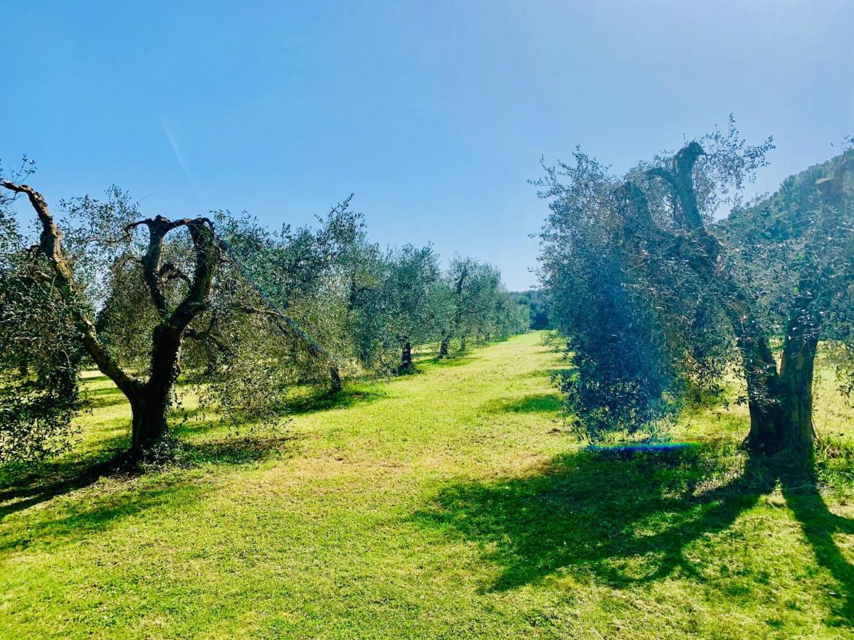 Ferienwohnung Il Borghetto Di Ansedónia Exterior foto