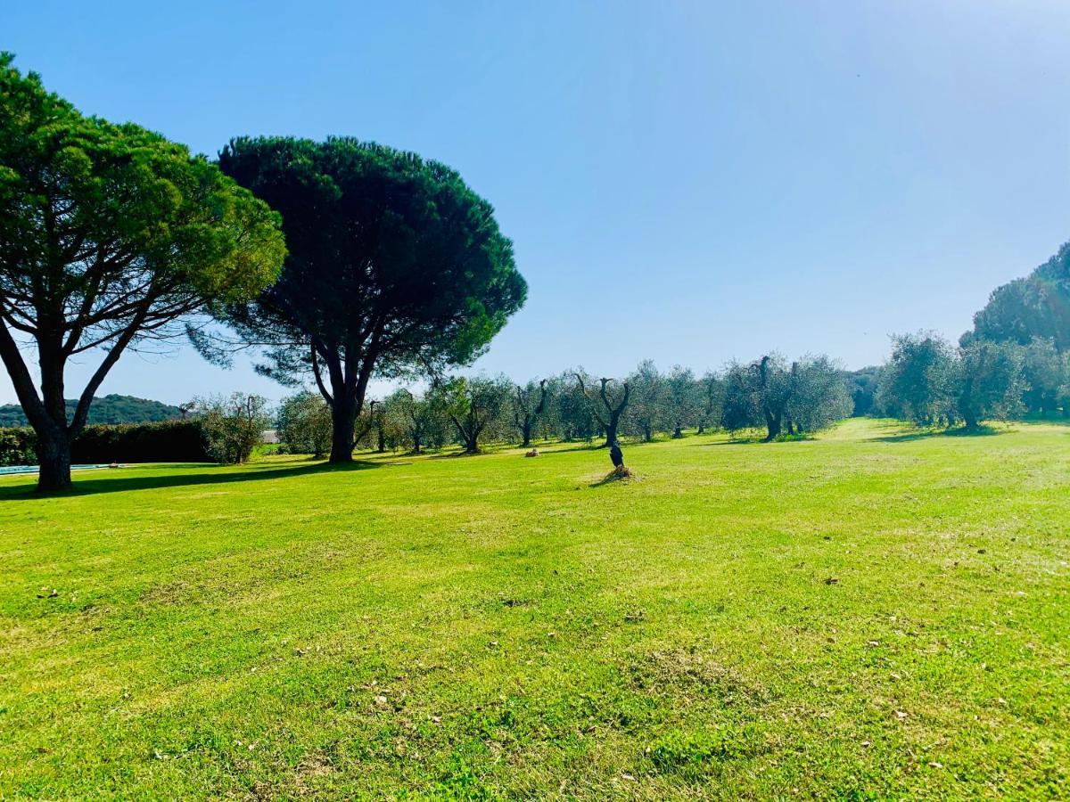 Ferienwohnung Il Borghetto Di Ansedónia Exterior foto