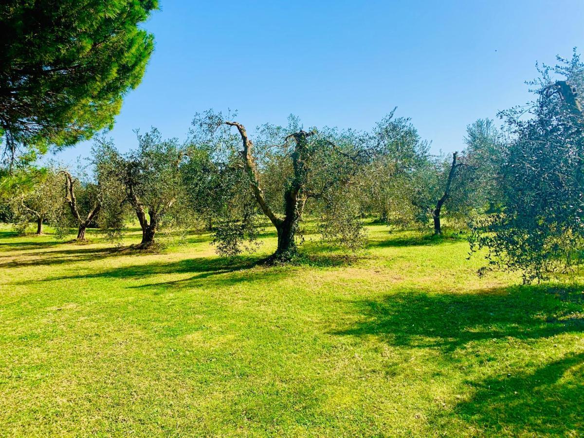 Ferienwohnung Il Borghetto Di Ansedónia Exterior foto