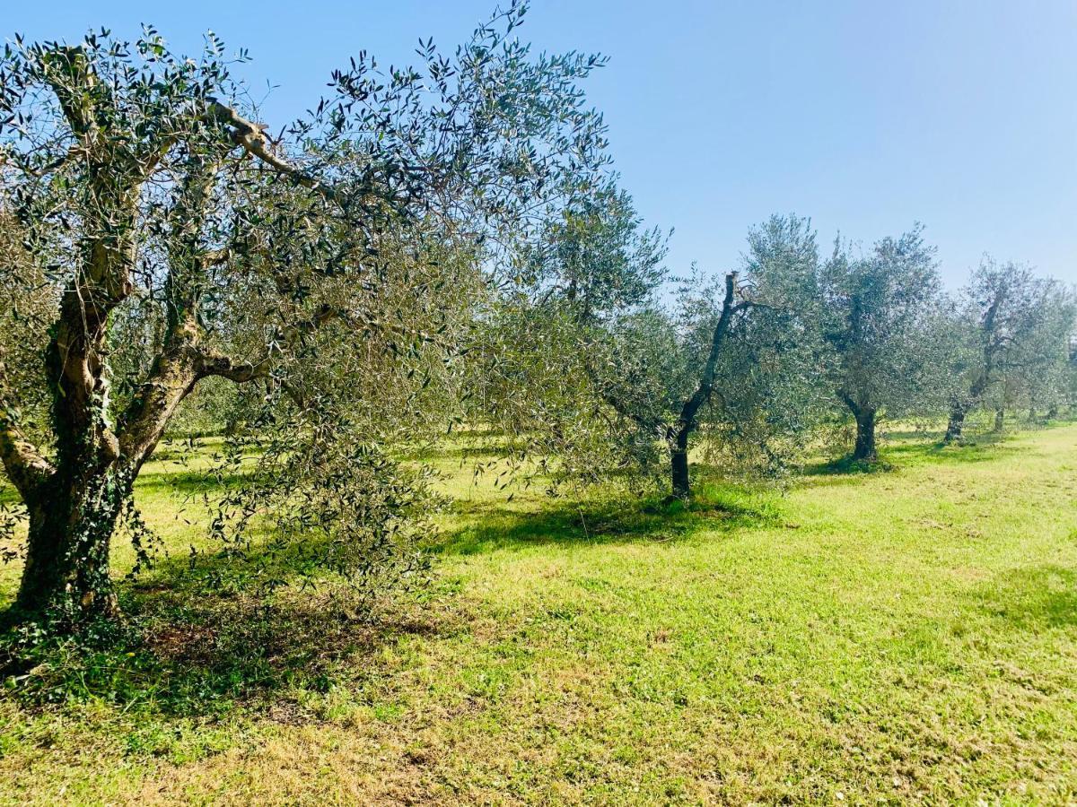 Ferienwohnung Il Borghetto Di Ansedónia Exterior foto