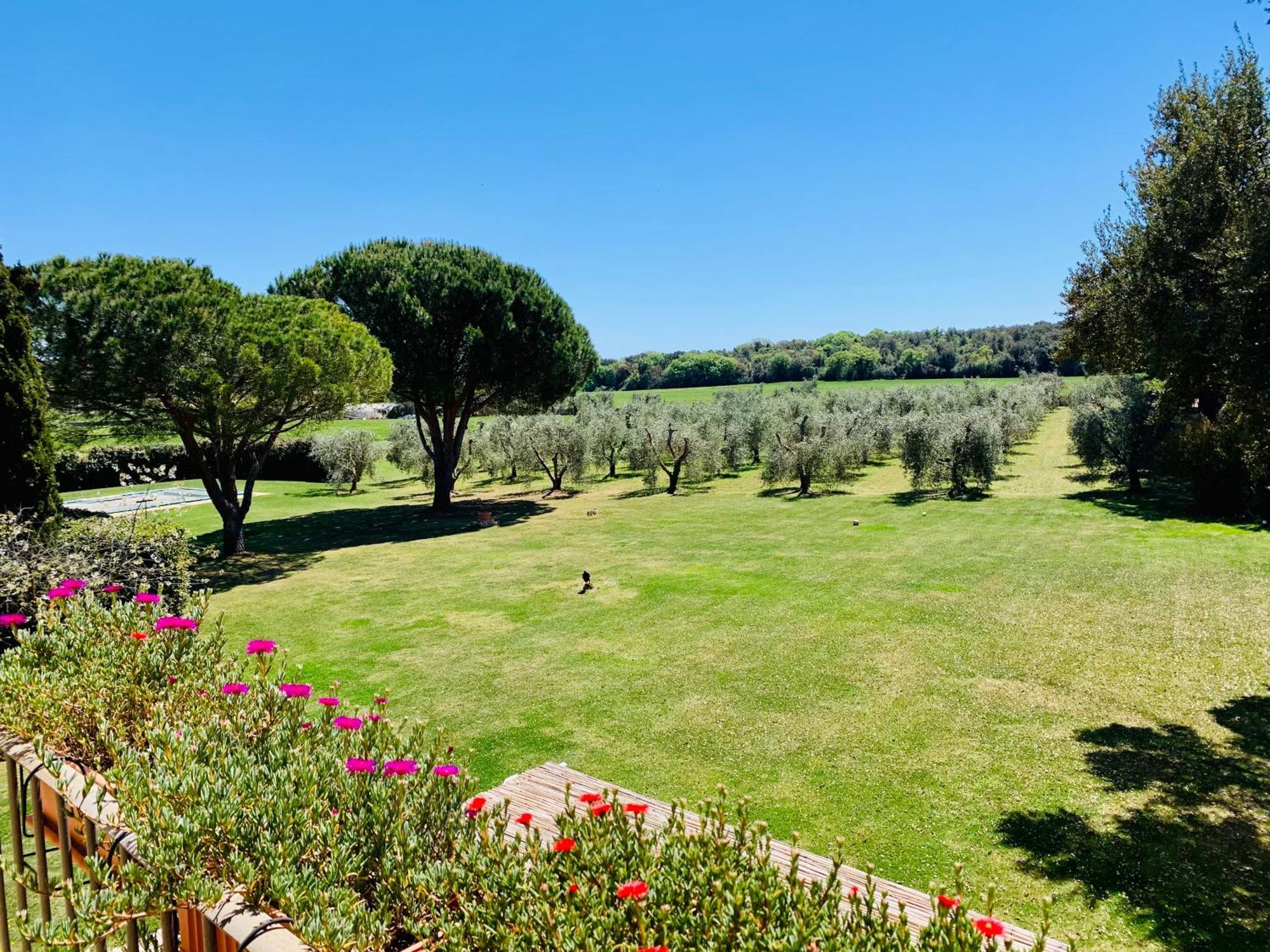 Ferienwohnung Il Borghetto Di Ansedónia Exterior foto