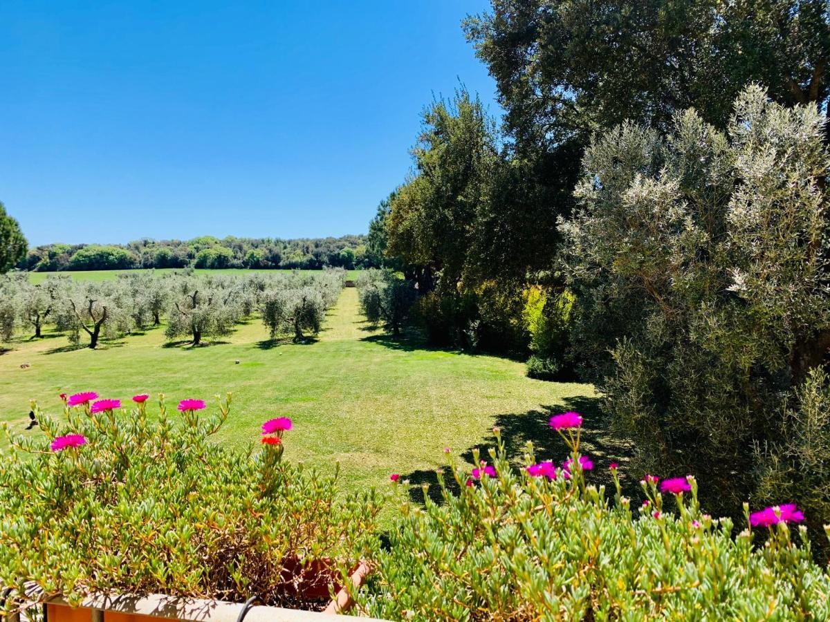 Ferienwohnung Il Borghetto Di Ansedónia Exterior foto