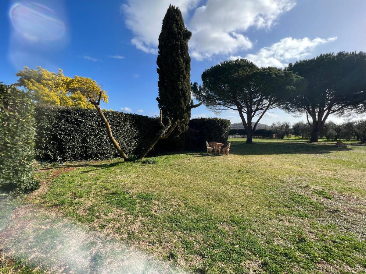 Ferienwohnung Il Borghetto Di Ansedónia Exterior foto