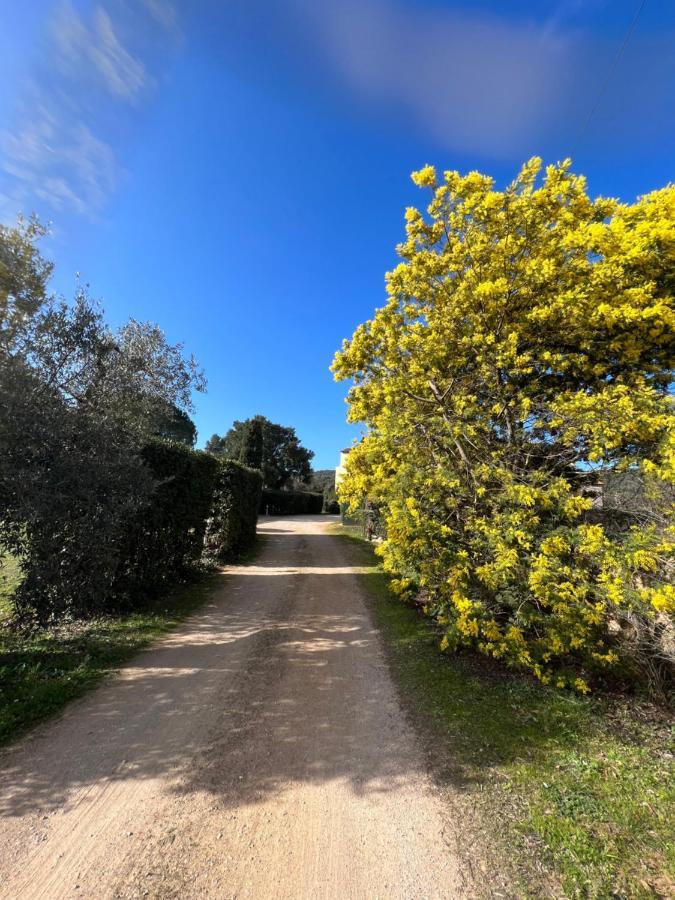 Ferienwohnung Il Borghetto Di Ansedónia Exterior foto