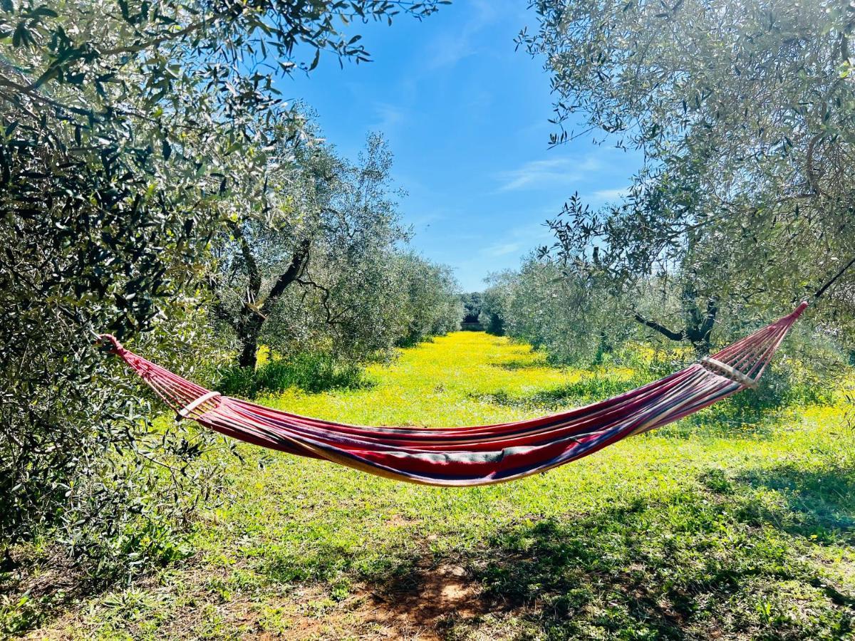 Ferienwohnung Il Borghetto Di Ansedónia Exterior foto